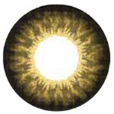 EOS Super Neon 209 brown colored contact lenses cosplay lenses, circle lenses, colored contacts, costume lenses