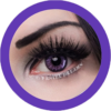 EOS Baron violet colored lenses colored contact lenses cosplay lenses, circle lenses, colored contacts, costume lenses